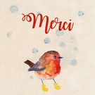 Merci chaleureux avec un rouge-gorge joyeux